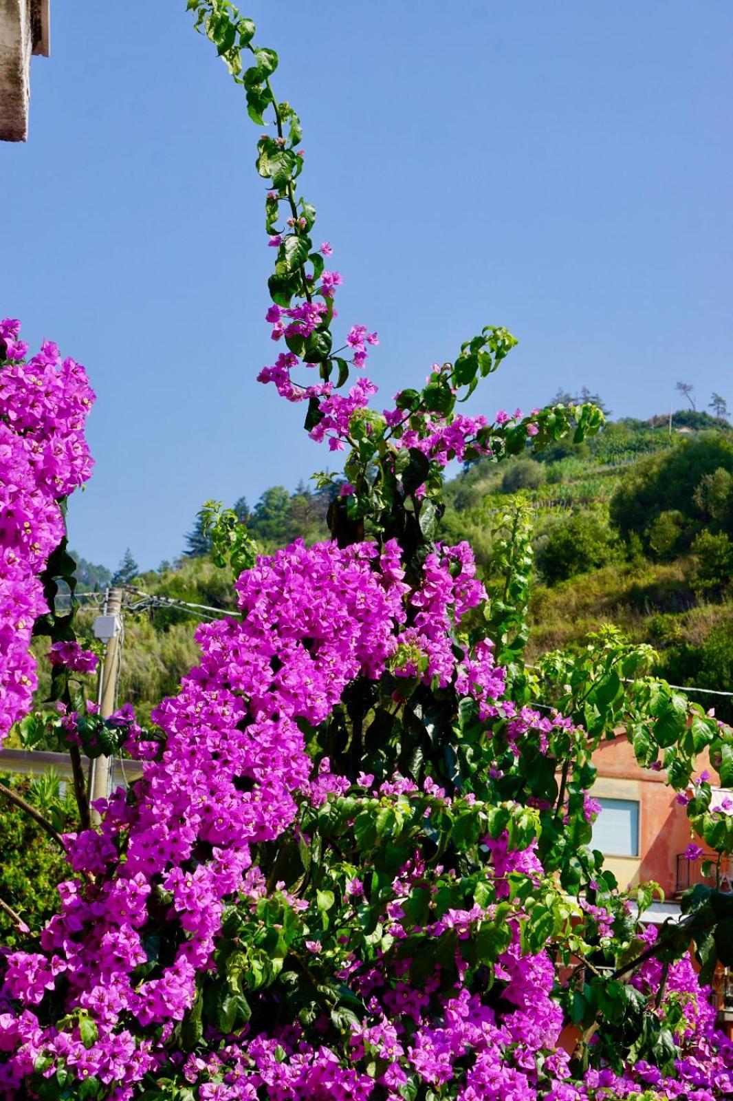 Appartamento Le Conchiglie Monterosso Al Mare Exterior photo